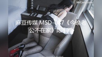 麻豆传媒 MSD-087《今晚老公不在家》陈小雨