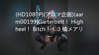 (HD1080P)(アロマ企画)(aarm00199)Garterbelt！ Highheel！ Bitch！！ 3 橘メアリー