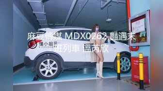 麻豆傳媒 MDX0262 豔遇末班列車 溫芮欣