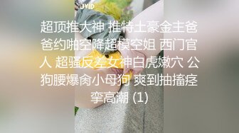 超顶推大神 推特土豪金主爸爸约啪空降超模空姐 西门官人 超骚反差女神白虎嫩穴 公狗腰爆肏小母狗 爽到抽搐痉挛高潮 (1)