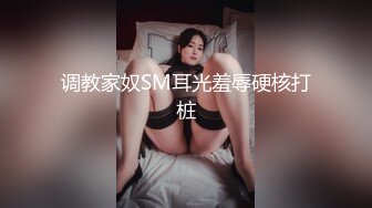 调教家奴SM耳光羞辱硬核打桩