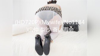 (HD720P)(Mywife)(No1184)広仲 梨沙 蒼い再会