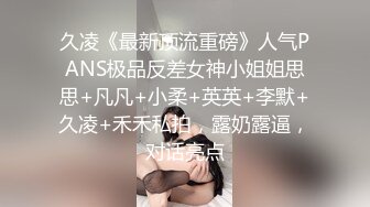 久凌《最新顶流重磅》人气PANS极品反差女神小姐姐思思+凡凡+小柔+英英+李默+久凌+禾禾私拍，露奶露逼，对话亮点