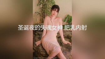 圣诞夜的失魂女神 肥乳内射