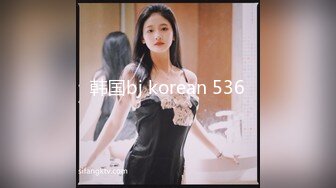 韩国bj korean 536