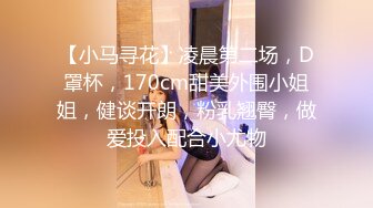 【小马寻花】凌晨第二场，D罩杯，170cm甜美外围小姐姐，健谈开朗，粉乳翘臀，做爱投入配合小尤物