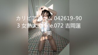 カリビアンコム 042619-903 女熱大陸 File.072 吉岡蓮美