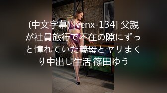 (中文字幕) [venx-134] 父親が社員旅行で不在の隙にずっと憧れていた義母とヤリまくり中出し生活 篠田ゆう